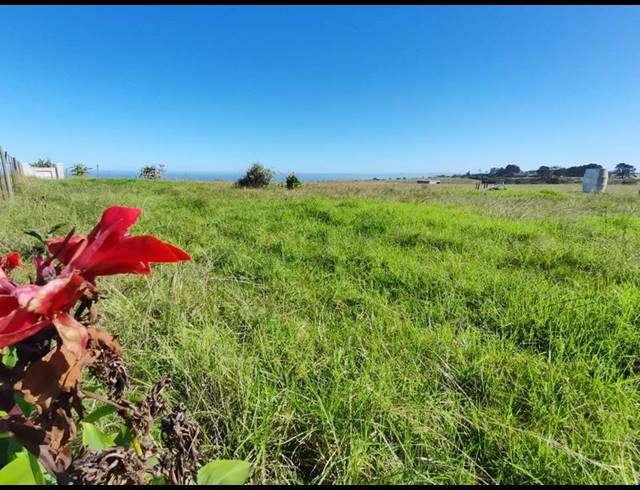LAND FOR SALE IN GEORGE RURAL
